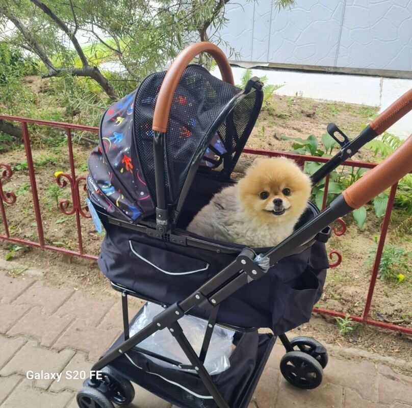 Пожалуйста, заполните данные!