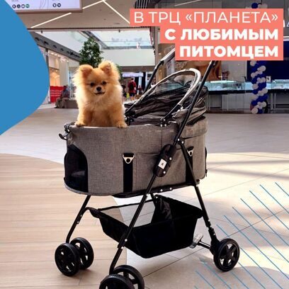 ТРЦ Планета в Перми присоединился к движению Dog-Friendly!